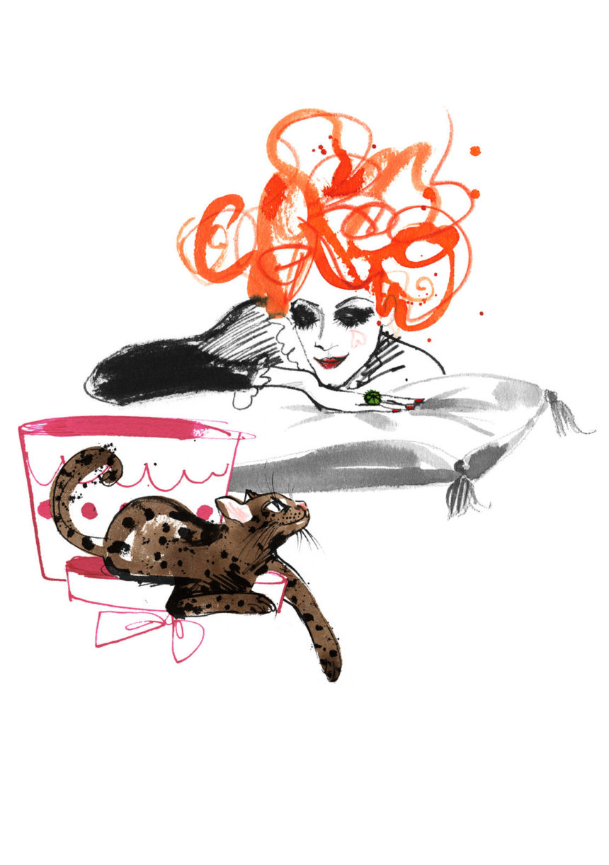 Illustration of Mademoiselle Oiseau and cat by Lovisa Burfitt