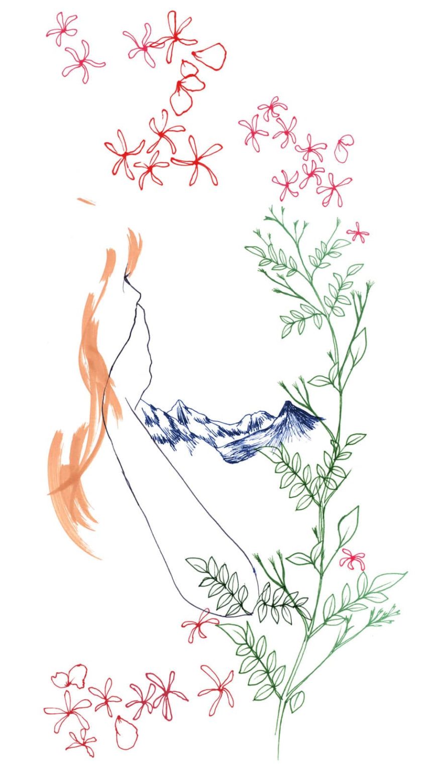 Illustration du profile d'une femme regardant une montagne.