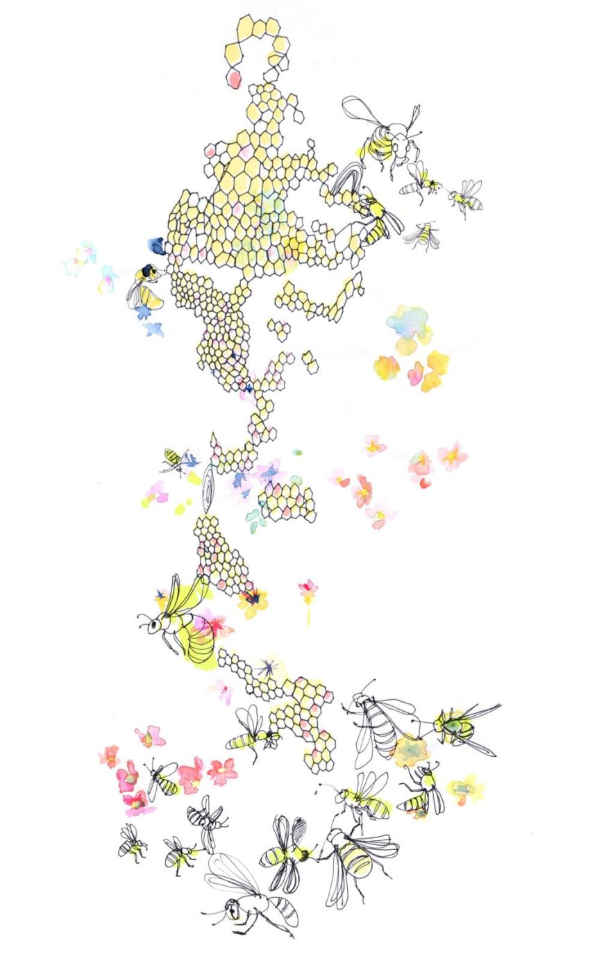 Illustration d'abeilles et miel.