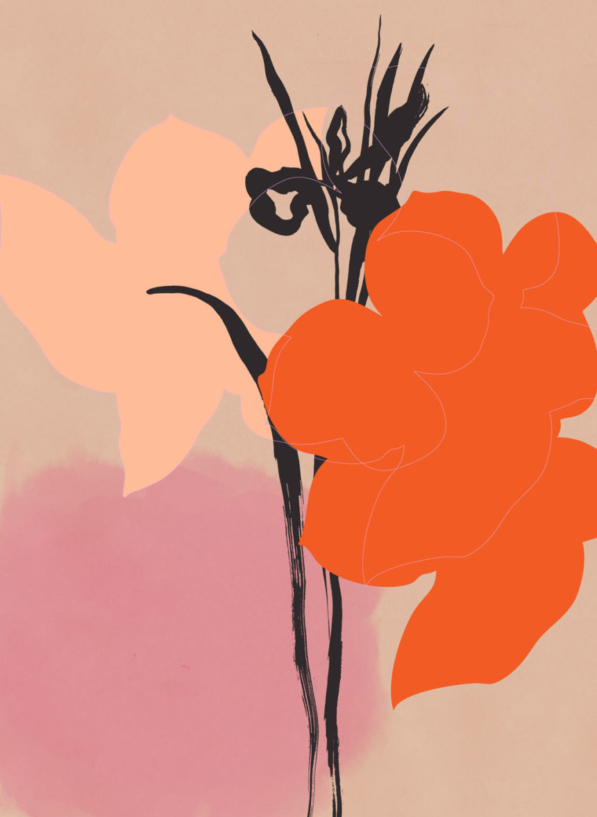 Collage of flowers in pink and orange.