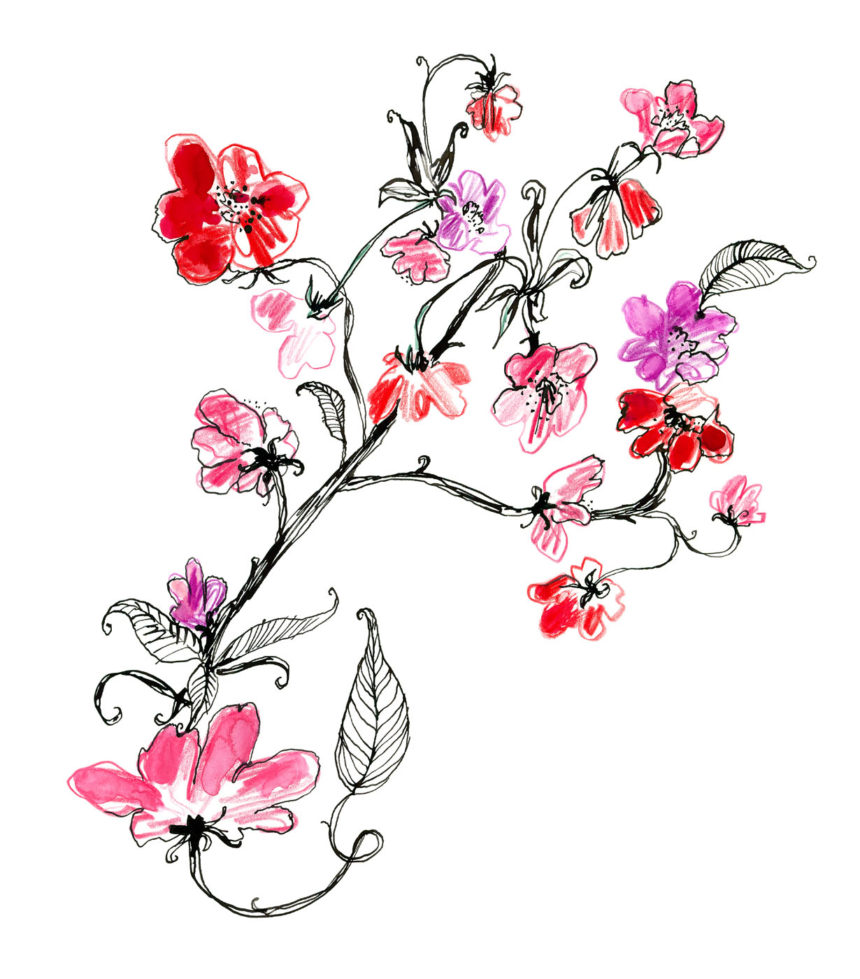 Illustration of cherry blossom for H&M wall graphics