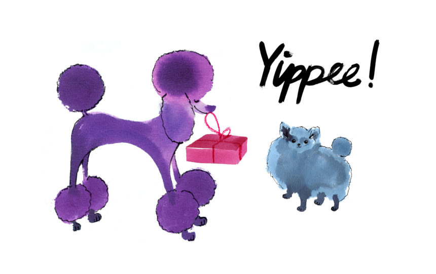 Illustration of purple poodle for H&M gift cards.