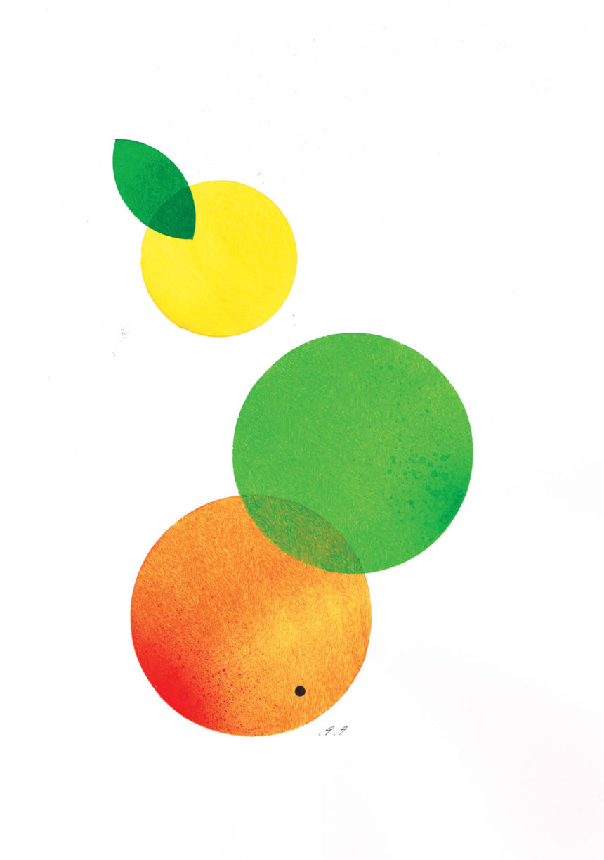 Illustration au découpage d'agrumes jaune, orange et vert.