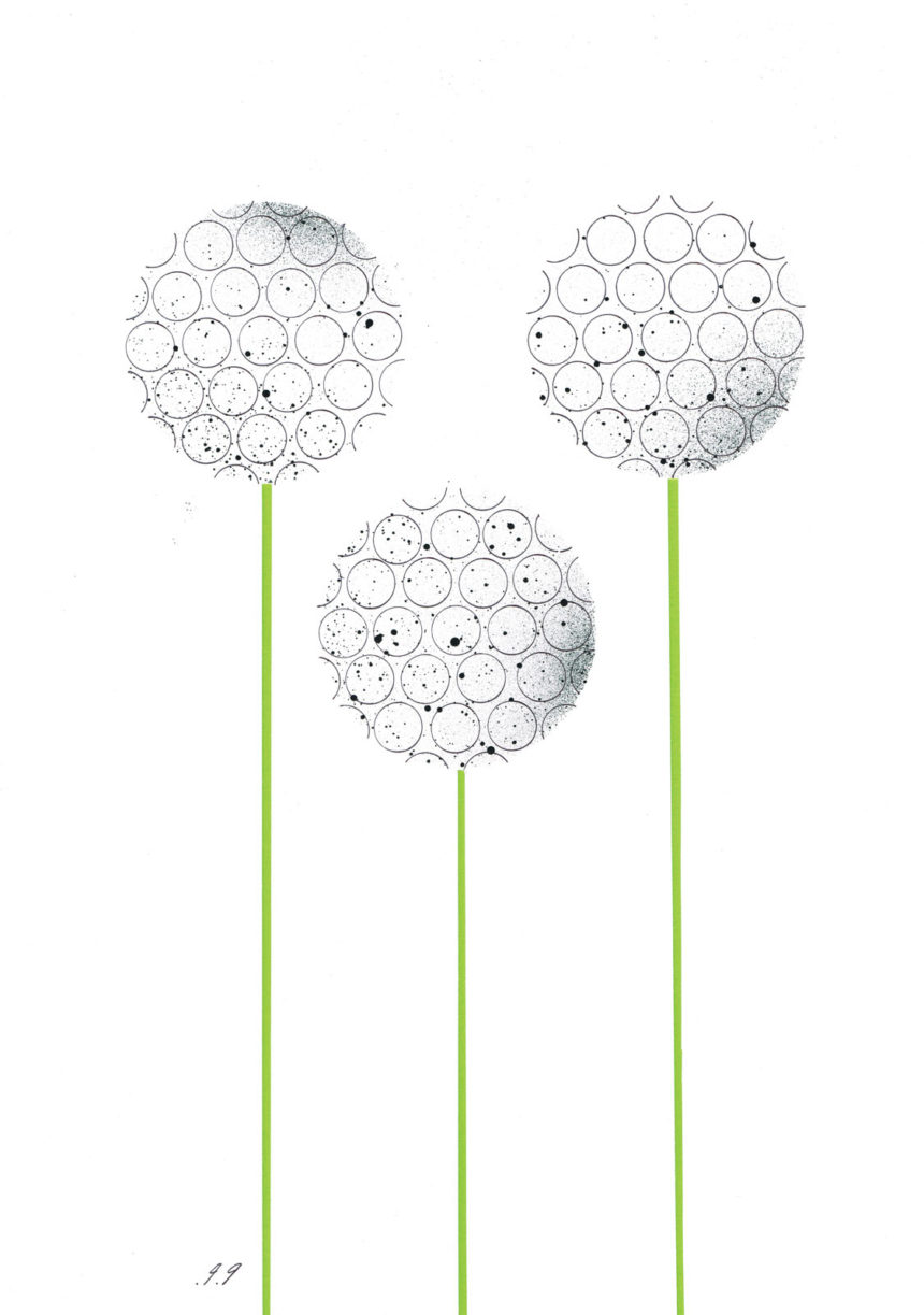 Illustration graphique de trois pissenlit.