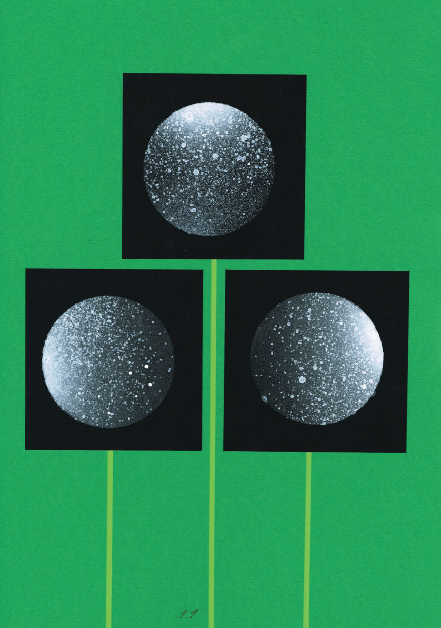 Illustration graphique de boules de pissenlit sur fond vert.