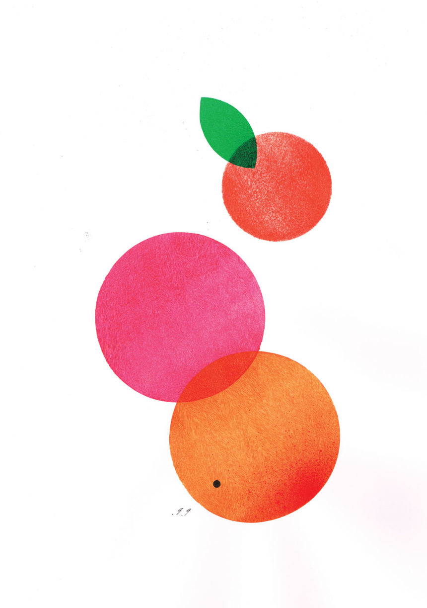 Illustration au découpage d'agrumes orange et rose.
