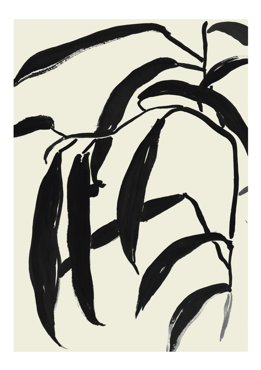 Ink drawing of black leaves.