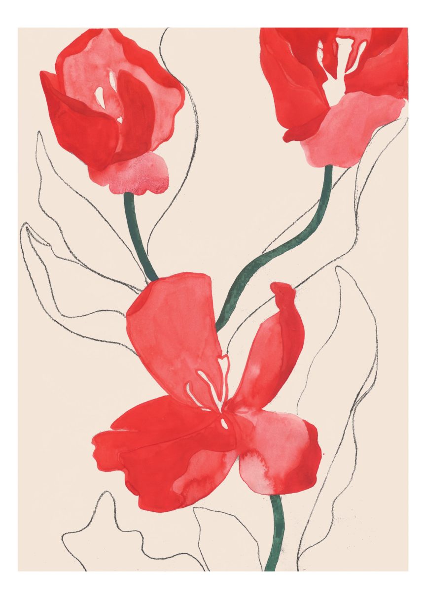 Illustration of red flowers.