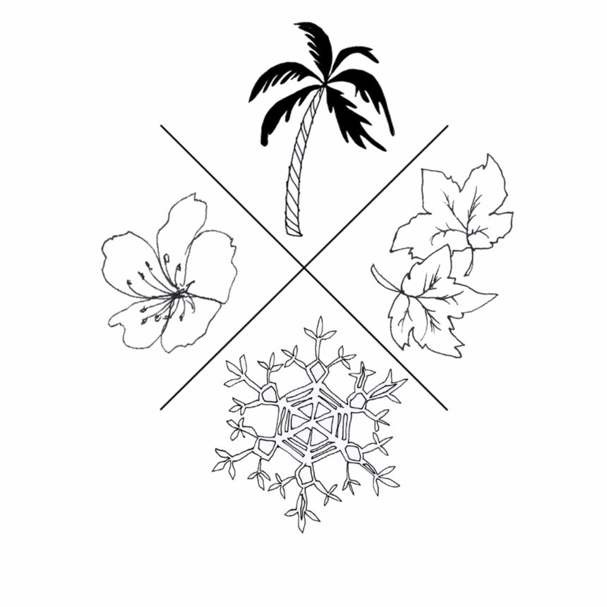 Illustration au trait d'un palmier, une fleur, une feuille et un flocon de neige.