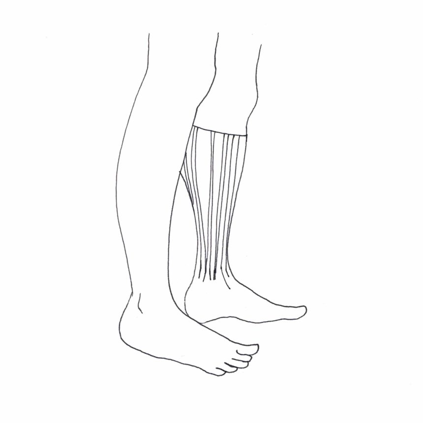 Illustration au trait d'un pair de jambes d'homme avec des chaussettes.